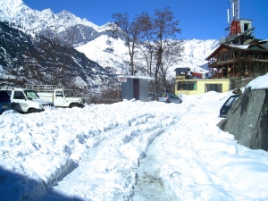 Service Provider of MANALI 04 NIGHT BY VOLVO Manali Himachal Pradesh