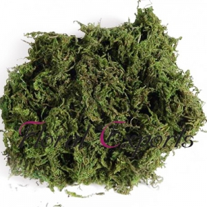 Manufacturers Exporters and Wholesale Suppliers of MOSS Kolkata West Bengal