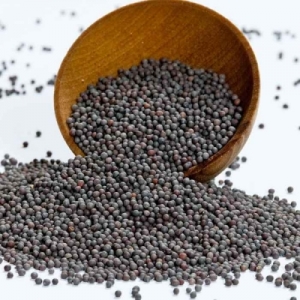 MUSTER SEEDS Manufacturer Supplier Wholesale Exporter Importer Buyer Trader Retailer in Vadodara Gujarat India