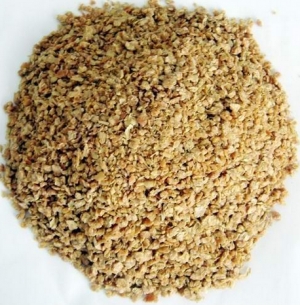 Maize Cattle Feed