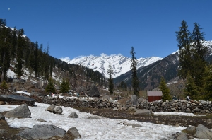 Manufacturers Exporters and Wholesale Suppliers of Manali Tour Package Noida Uttar Pradesh