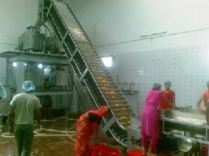 Mango Pulp Processing Machinery