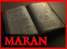 Maran Mantra Services in Haryana Haryana India