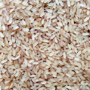 Manufacturers Exporters and Wholesale Suppliers of Matta Rice KOCHI Kerala