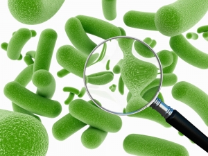 Service Provider of Microbiology New Delhi Delhi