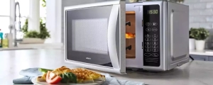 Service Provider of Microwave New Delhi Delhi 