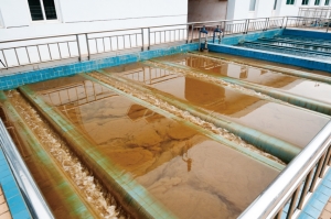 Microbial Product For Waste Water Sludge Reduction