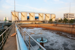 Bioculture For Sewage Waste Water Treatment