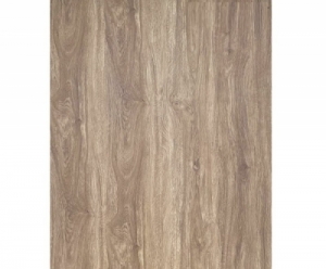 Montana Oak Manufacturer Supplier Wholesale Exporter Importer Buyer Trader Retailer in Mumbai Maharashtra India