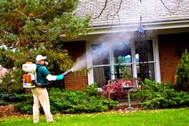 Mosquito Control Treatment Services in Bhopal Madhya Pradesh India