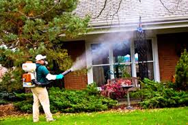 Service Provider of Mosquito Control Treatment Bhopal Madhya Pradesh 