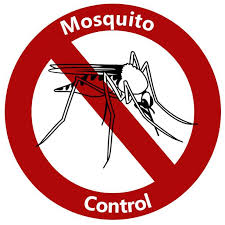 Mosquito Control Services in Indore Madhya Pradesh India