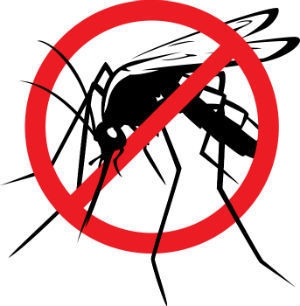 Mosquitoes Pest Control Services in Ranchi Jharkhand India