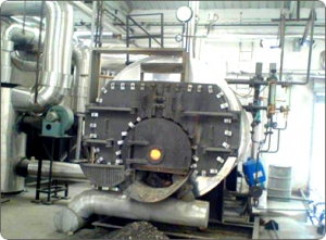 Manufacturers Exporters and Wholesale Suppliers of Multi Fuel Industrial Steam Boiler New Delhi Delhi