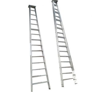 Multiposition Aluminium Ladder