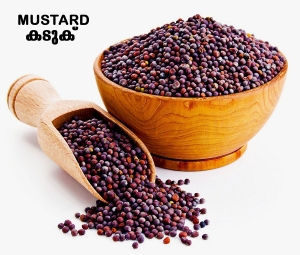 Manufacturers Exporters and Wholesale Suppliers of Mustard KOCHI Kerala