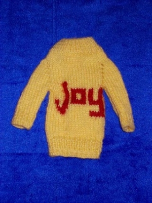 Manufacturers Exporters and Wholesale Suppliers of NE107 Joy Sweater Bareilly Uttar Pradesh