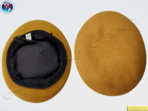 Manufacturers Exporters and Wholesale Suppliers of NOVUS BERET CAP NORSH Agra Uttar Pradesh