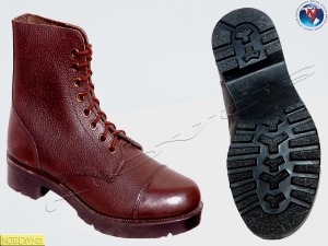 Manufacturers Exporters and Wholesale Suppliers of NOVUS DMS ANKLE BOOT ARTIAN Agra Uttar Pradesh