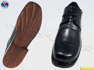 Manufacturers Exporters and Wholesale Suppliers of NOVUS DERBY SHOE CALIN Agra Uttar Pradesh
