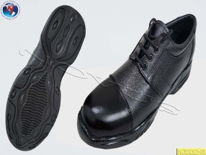 Manufacturers Exporters and Wholesale Suppliers of NOVUS DERBY SHOE LEVIOUS Agra Uttar Pradesh