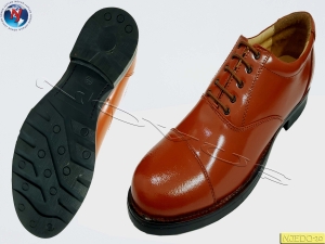 Manufacturers Exporters and Wholesale Suppliers of NOVUS OXFORD SHOE RHODES Agra Uttar Pradesh