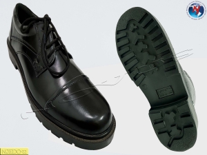 Manufacturers Exporters and Wholesale Suppliers of NOVUS OXFORD SHOE TYPHOON Agra Uttar Pradesh