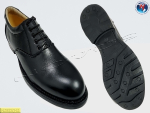 Manufacturers Exporters and Wholesale Suppliers of NOVUS DERBY SHOE WILSON Agra Uttar Pradesh