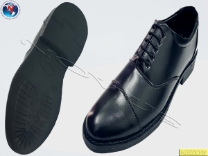 Manufacturers Exporters and Wholesale Suppliers of NOVUS OXFORD SHOE FINSERV Agra Uttar Pradesh