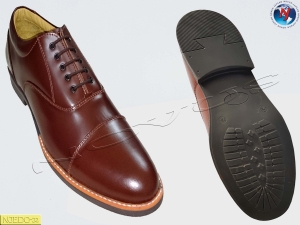 Manufacturers Exporters and Wholesale Suppliers of NOVUS OXFORD SHOE COSHIER Agra Uttar Pradesh