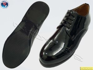 Manufacturers Exporters and Wholesale Suppliers of NOVUS DERBY SHOE TRICAP 3 Agra Uttar Pradesh