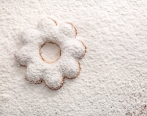 Manufacturers Exporters and Wholesale Suppliers of Snow Sugar mumbai Maharashtra