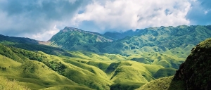 Manufacturers Exporters and Wholesale Suppliers of Nagaland Tour Package Guwahati Assam