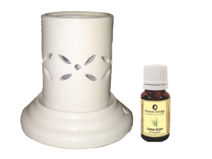 Manufacturers Exporters and Wholesale Suppliers of Nano Electric Diffuser with Essential Oil Mumbai Maharashtra