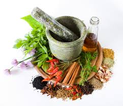 Manufacturers Exporters and Wholesale Suppliers of Natural Extracts Bengaluru Karnataka
