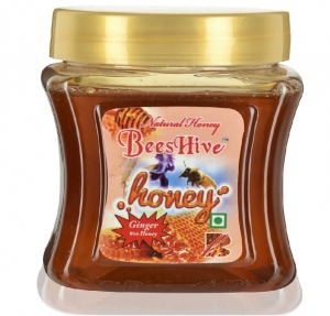 Ginger Honey Manufacturer Supplier Wholesale Exporter Importer Buyer Trader Retailer in New Delhi Delhi India