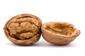 Natural Walnuts Manufacturer Supplier Wholesale Exporter Importer Buyer Trader Retailer in Nagpur Maharashtra India