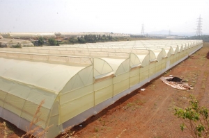 Manufacturers Exporters and Wholesale Suppliers of Naturally Ventilated Poly House Surat Gujarat