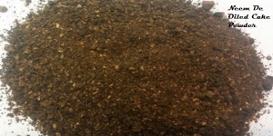 Manufacturers Exporters and Wholesale Suppliers of Neem De Oiled cake Rajkot Gujarat