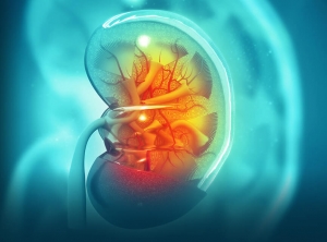 Manufacturers Exporters and Wholesale Suppliers of NEPHROLOGY AND KIDNEY CARE MEDICINES Mumbai Maharashtra