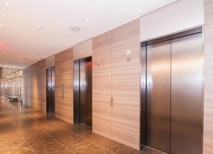 New Elevators