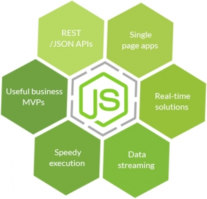 NodeJs Website Development Services in Delhi Delhi India