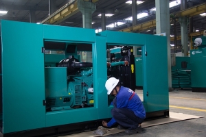 Service Provider of Non Silent DG Set Maintenance Services Gurugram Haryana 