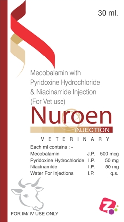 Manufacturers Exporters and Wholesale Suppliers of NUROEN INJ AMBALA CITY Haryana