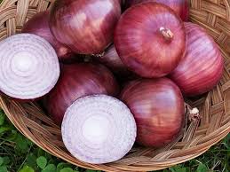 Onion