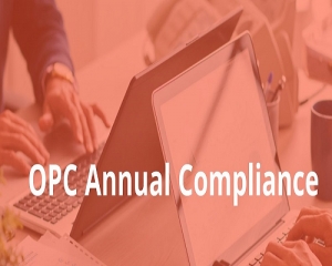 Service Provider of Annual Compliances For OPC Lucknow Uttar Pradesh 