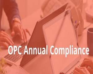 Service Provider of Annual Compliances For OPC Lucknow Uttar Pradesh