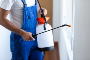 Odourless Pest Control Services