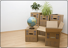 Office Relocation & Shifting