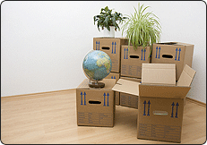 Service Provider of Office Relocation & Shifting Indore Madhya Pradesh 